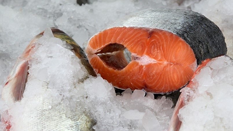 خوردن ماهی در بارداری: ماهی بخورید یا نخورید؟